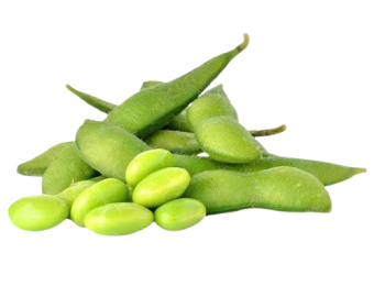 Horeca Đậu nành Nhật 